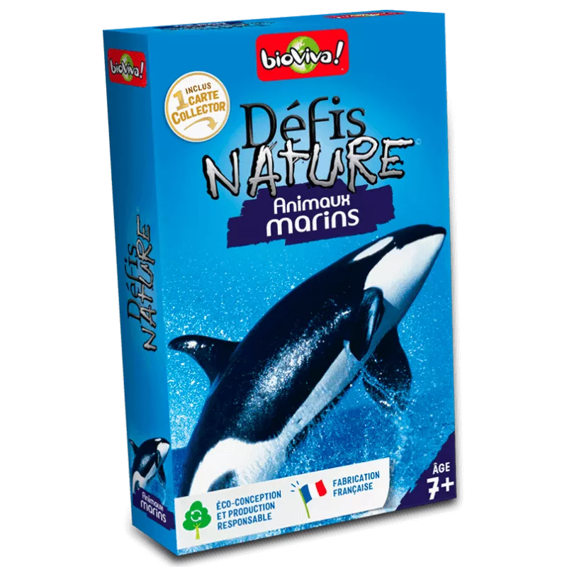 nature-challenge-sea-creatures