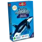 nature-challenge-sea-creatures