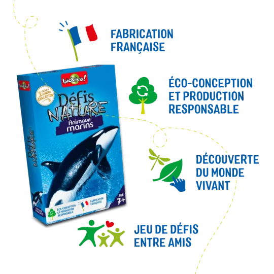 nature-challenge-sea-creatures