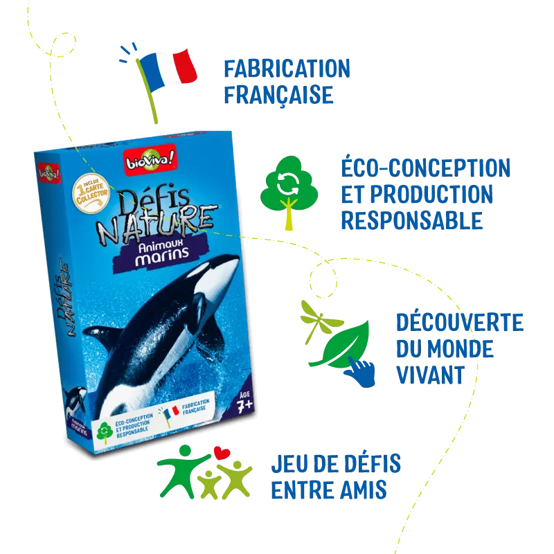 nature-challenge-sea-creatures
