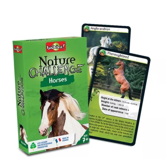 nature-challenge-horses