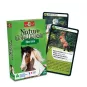 nature-challenge-horses