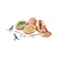 coffret-paleo-hello-maestro-12-oeufs-dinosaures