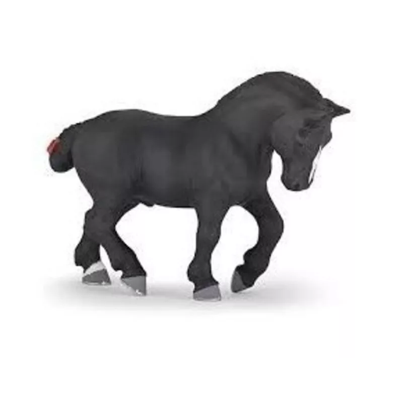 percheron