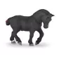 percheron