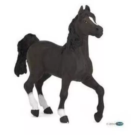 cheval-arabe