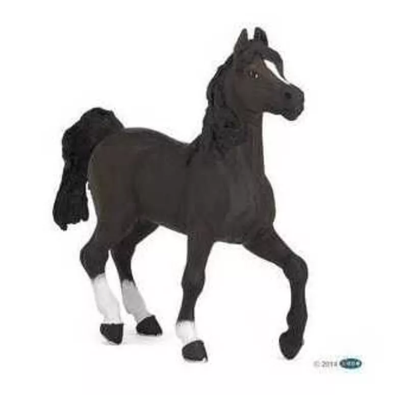 cheval-arabe