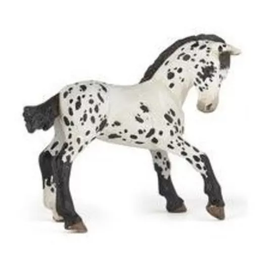 poulain-appaloosa-noir