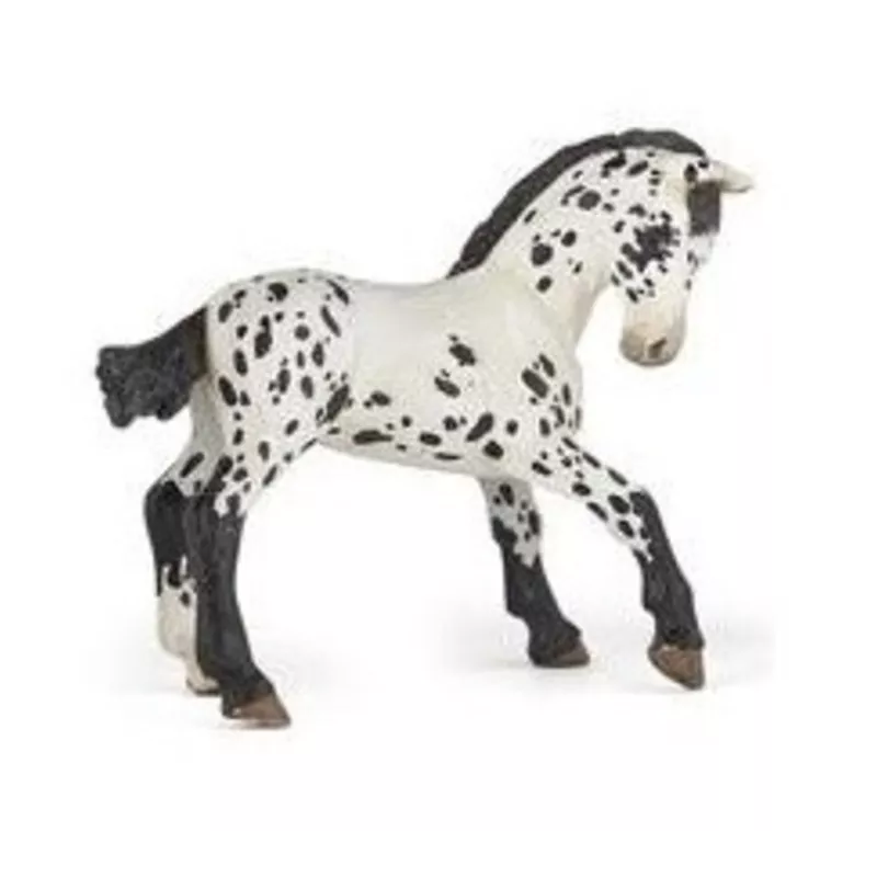 poulain-appaloosa-noir