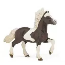 cheval-islandais-pie-alezan