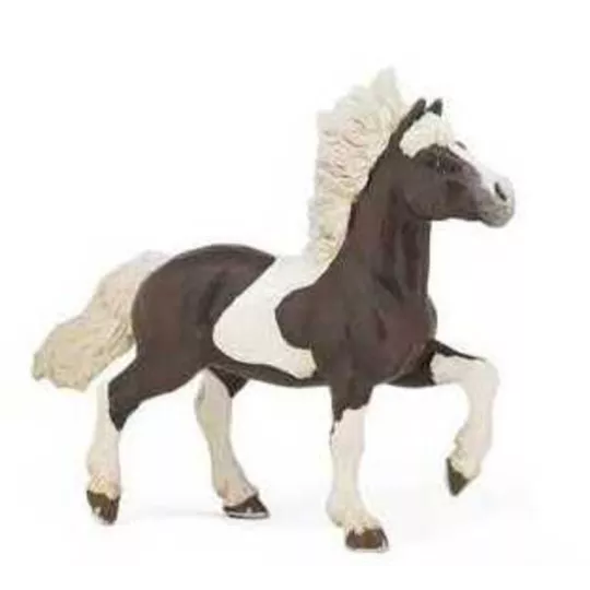 cheval-islandais-pie-alezan