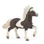cheval-islandais-pie-alezan