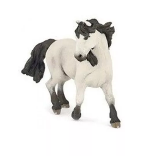 camargue
