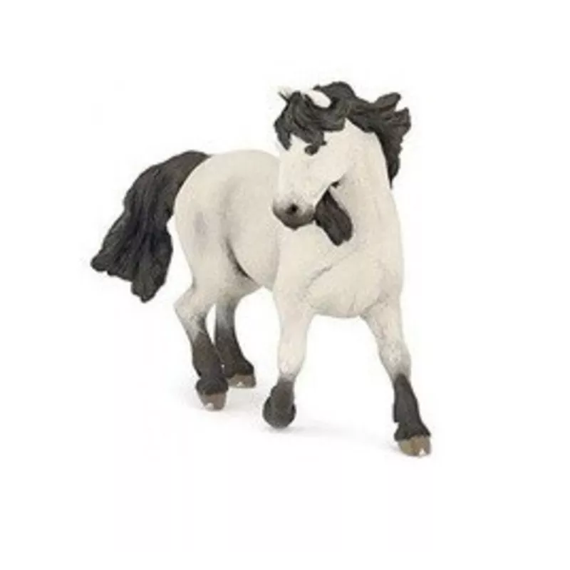 camargue