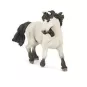 camargue