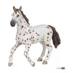 mare-appaloosa-Braun