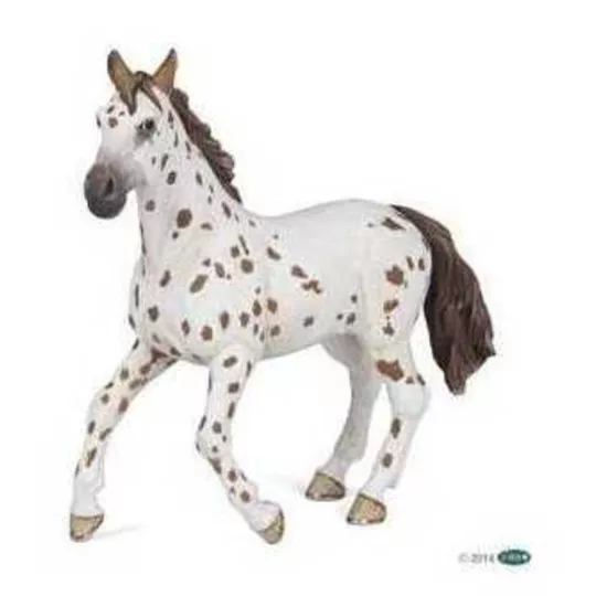 jument-appaloosa-brune