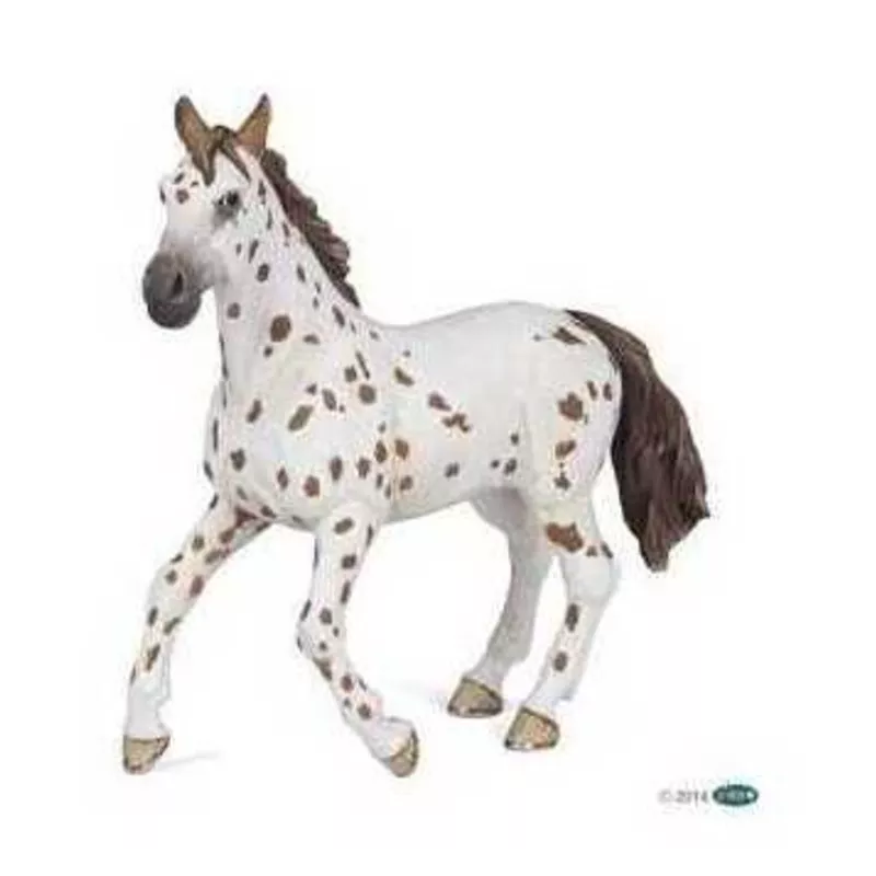 jument-appaloosa-brune
