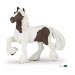 cob-irlandese-Pie-Bay