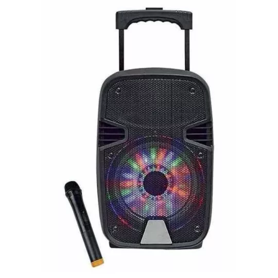 dansing-enceinte-autonome-et-lumineuse-8-pouces-+-micro-sans-fil