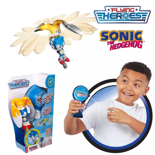 Flying Heroes Sonic