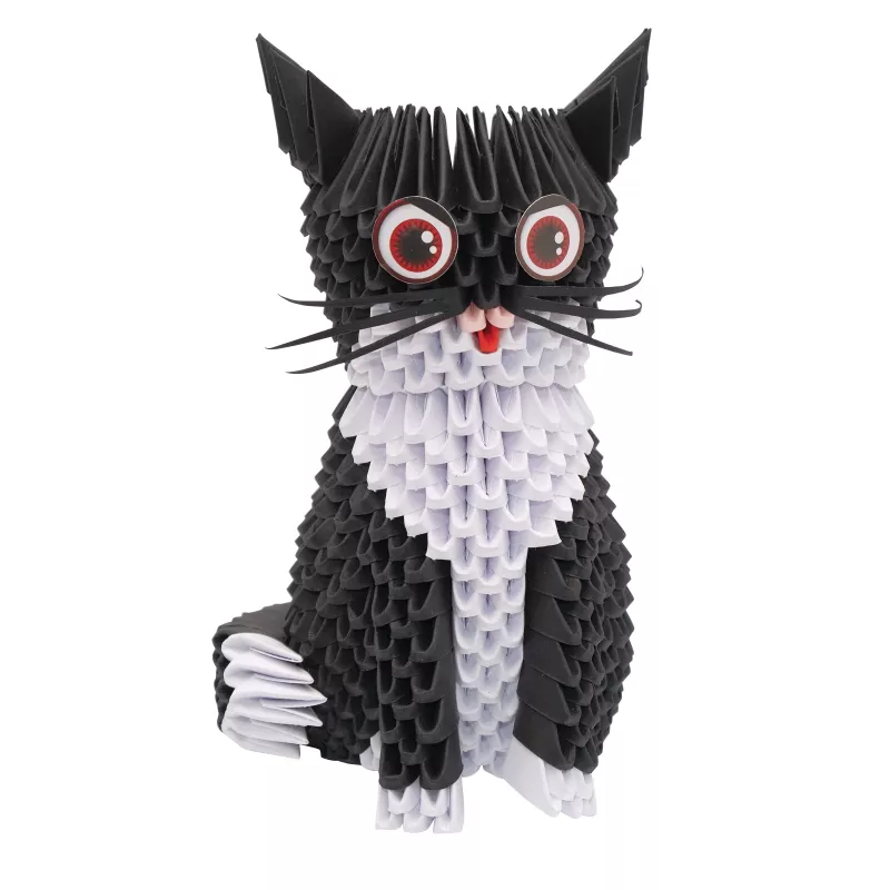 Creagami L Katz / Gatto