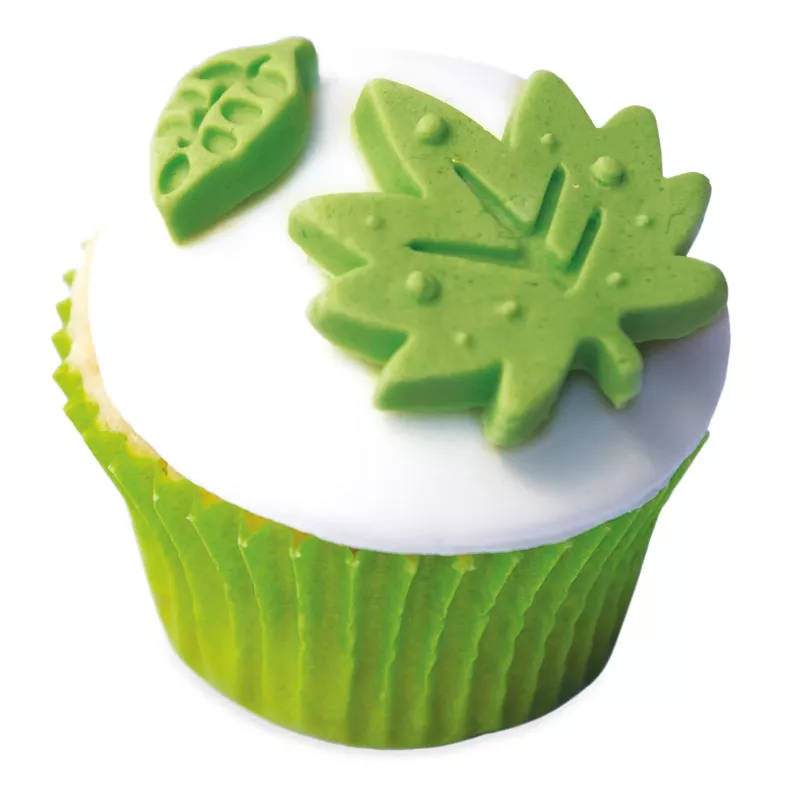 Kaufen Sie Zuckerzuckerform bei 50%