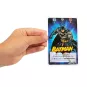 Justice League Ultimate Battle Kartenspiel-Schachtel (Französisch)