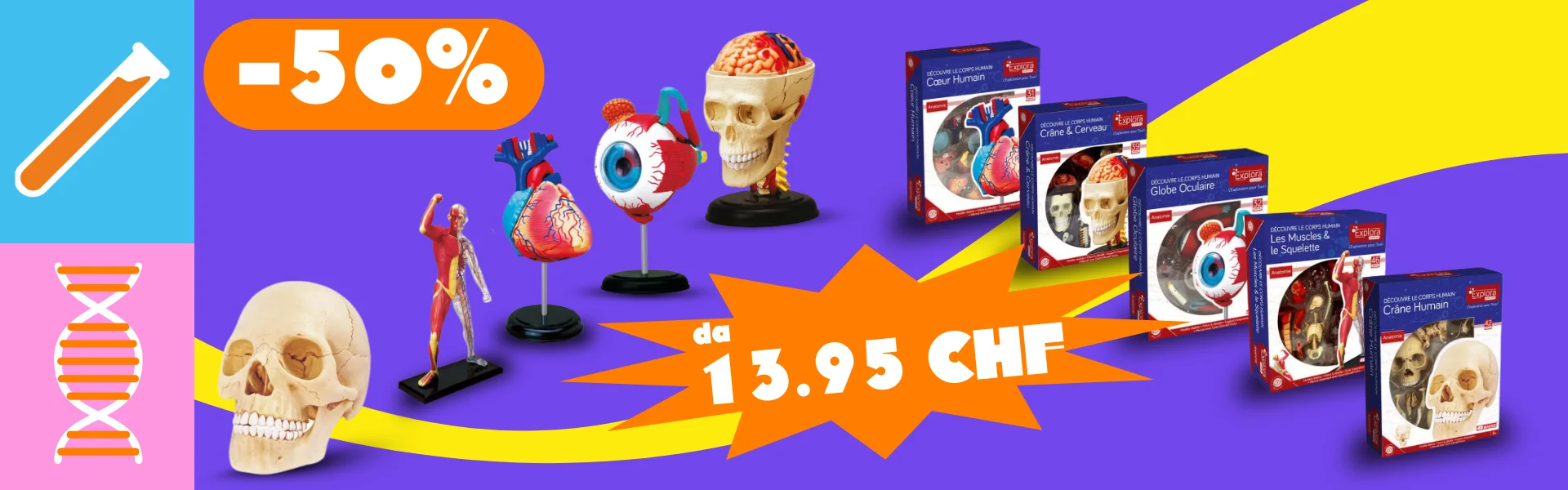 Giochi e attività creative per tutte le età